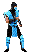 subzerox.gif (24396 bytes)