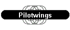 Pilotwings
