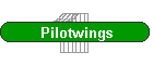 Pilotwings